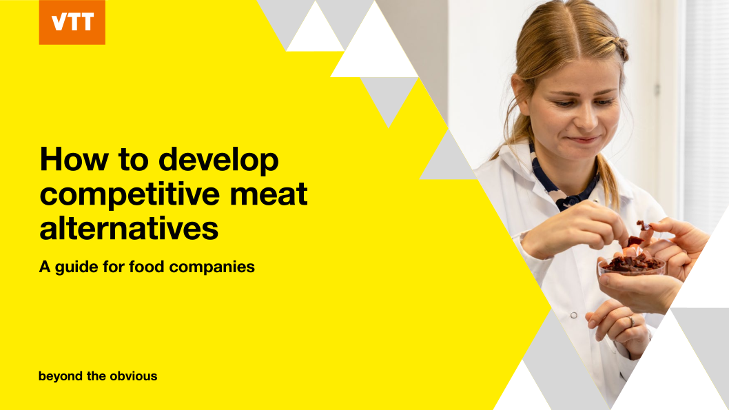 Cover of guide: How to develop competitive meat alternatives