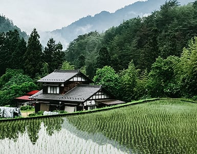 Providing circular economy solutions in Saga, Japan